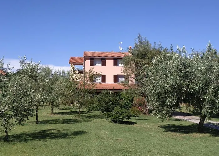 Apartament Nature *