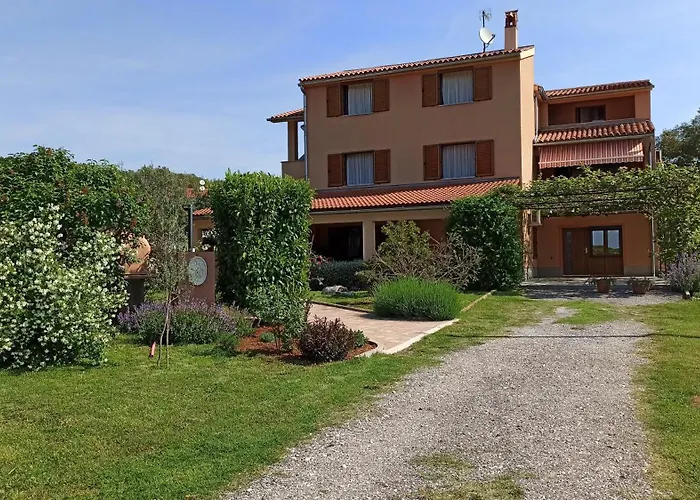 Nature Apartament